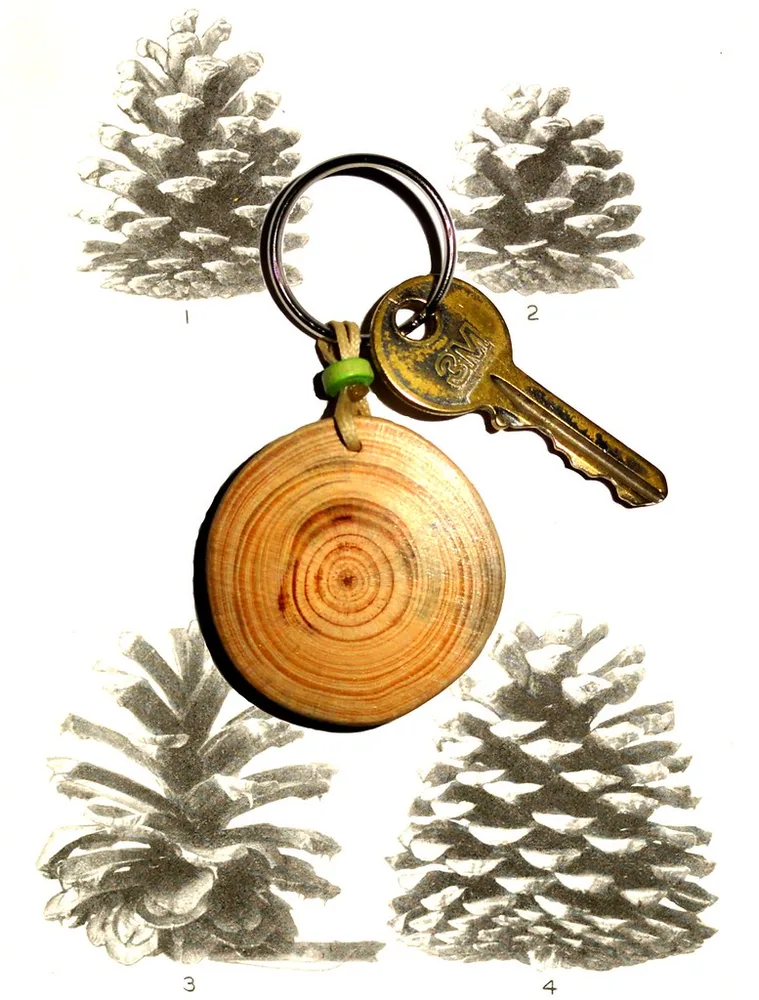 Engraved wooden name keychain